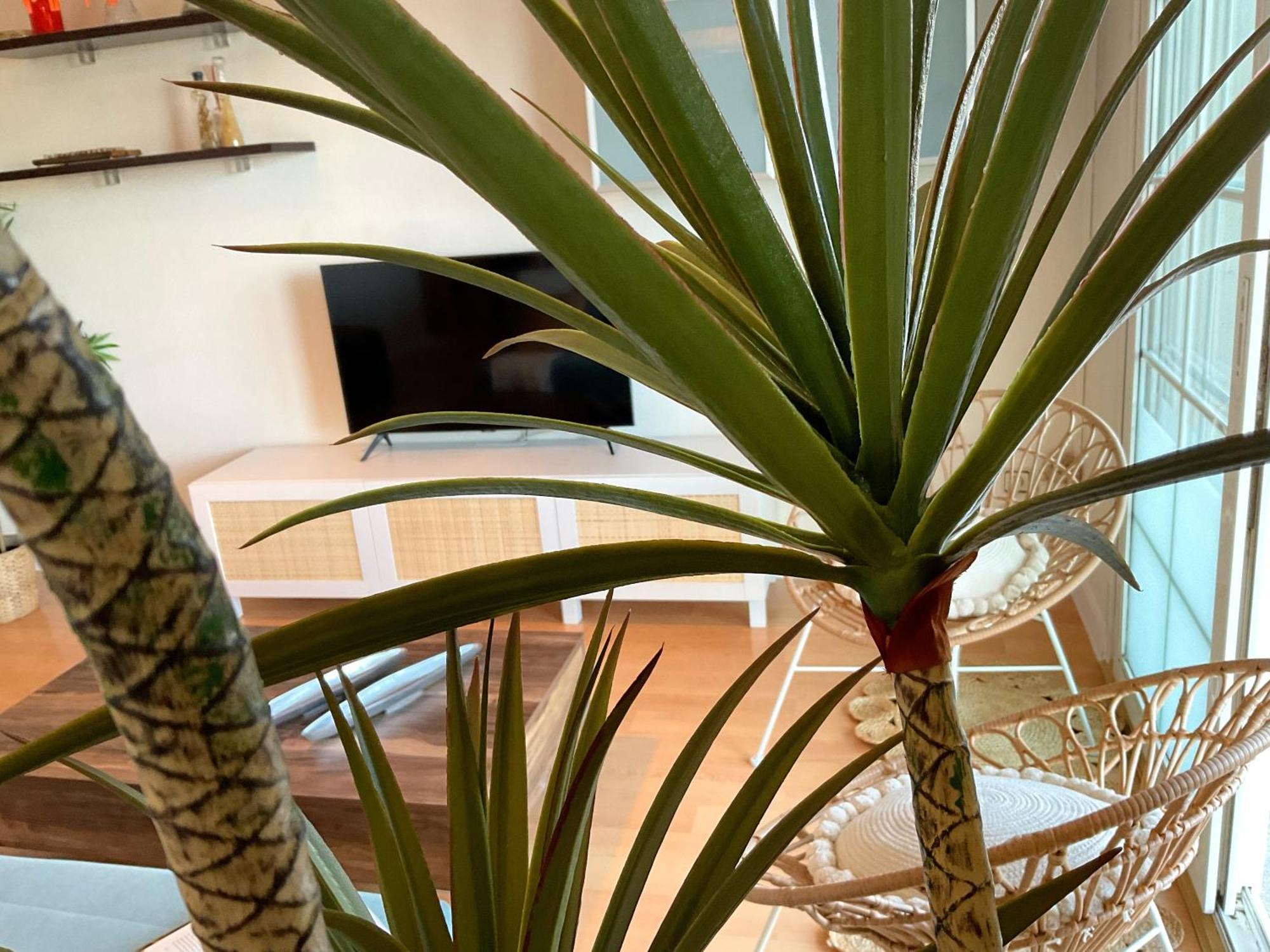 Ks Golf Playa - Kaleria Suites Almería Eksteriør billede